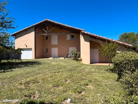 grande maison avec jardin arboré