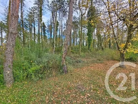 terrain à vendre - 45093 m2 - montjoie en couserans - 09 - midi-pyrenees