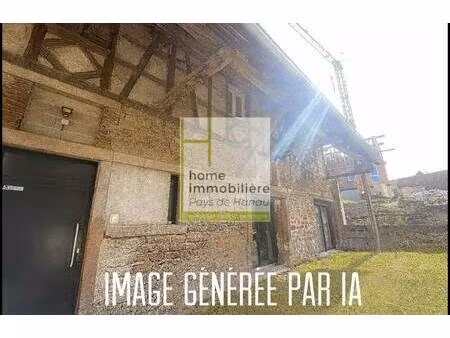 immobiliere du pays de hanau