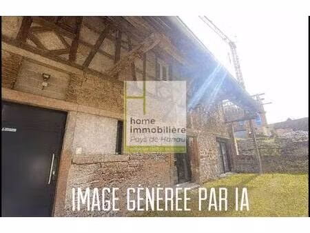 immobiliere du pays de hanau