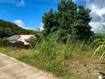 vente terrain  733.00m²  rivière