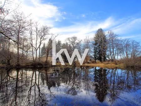 moulin avec étang aux portes du massif du sancy –saint-sauves