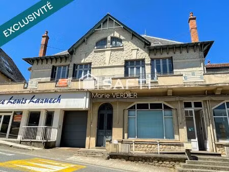 immeuble avec 2 locaux commerciaux  un t5-t6 et un studio