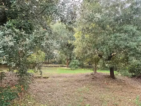 terrain à vendre