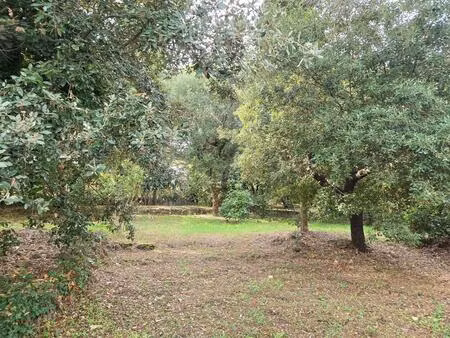 vente terrain 2000 m² biot (06410)