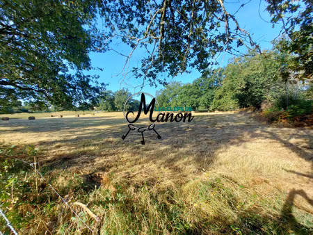 achat terrain 10 611m² bessines sur gartempe 87250
