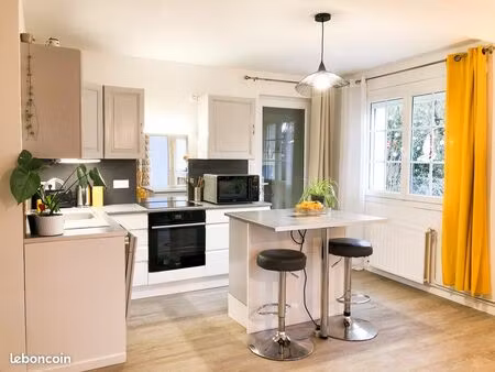 lumineux appartement meublé de 63 m2 au rez-de-chaussée avec jardin