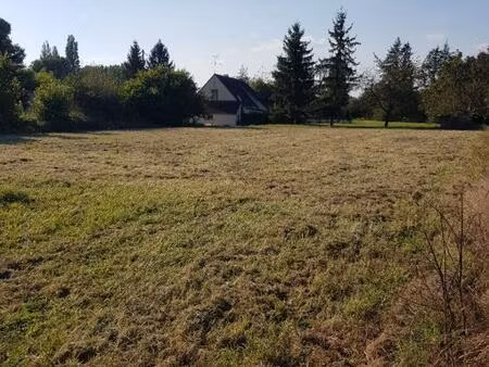 achat terrain 1 313m² la cour marigny 45260