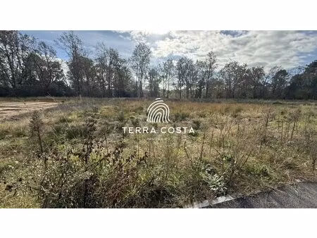 terrain a batir en lisiere de foret
