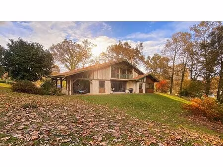 maison lisiere de foret