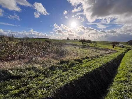 vente terrain 1119 m² bléré (37150)