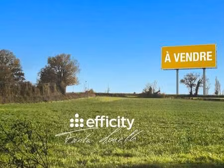vente terrain à saint-martin-des-fontaines (85570) : à vendre / 7736m² saint-martin-des-fo