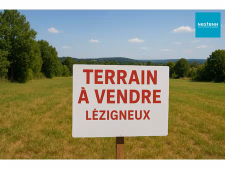 lezigneux (42600) - terrain a batir - viabilite en bordure - libre de construction