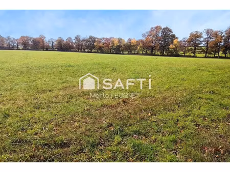 vente terrain 35580 m² à bressuire (79300)  29 000 €