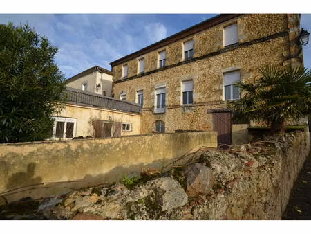 vente immeuble 11 pièces 306m2 castelnau-d'auzan-labarrère 32440 - 180000 € - surface priv