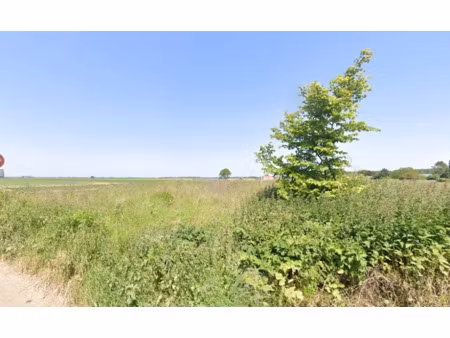 vente terrain 289 m² à roucourt (59169)  48 500 €