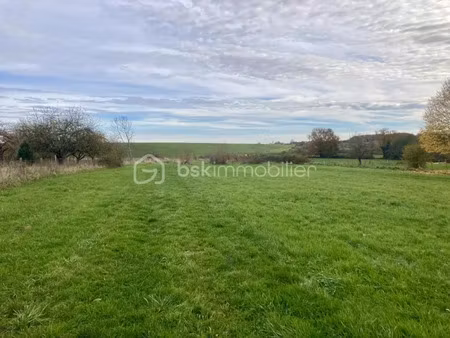 vente terrain 10137 m² à giffaumont-champaubert (51290)  73 000 €