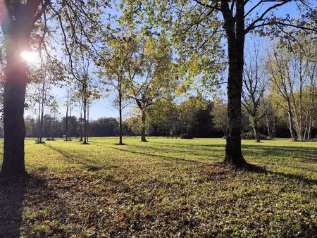 vente terrain 1170 m² à vertheuil (33180)  52 000 €