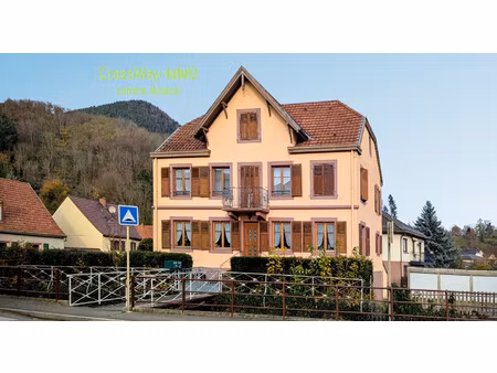 pour investisseur : immeuble 2 appartements en location + 6 garages