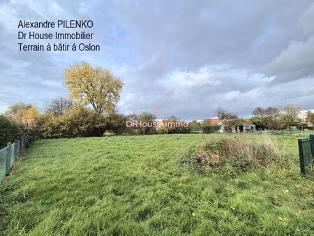 terrain à bâtir viabilisé - hors lotissement - 1 066m2 à oslon