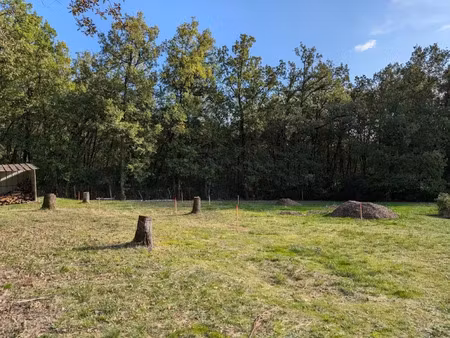 vente terrain 1198 m² à bouloc (31620)  90 000 €