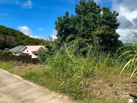 vente terrain 733 m² à riviere salee (97215)  109 000 €
