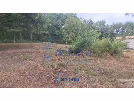 vente terrain 1500 m² à pougnadoresse (30330)  98 000 €