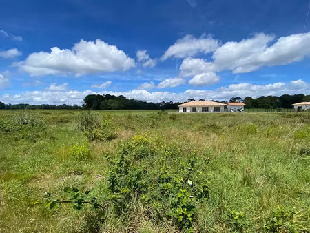 vente terrain 11471 m² à saint-vincent-de-paul (40990)  340 000 €