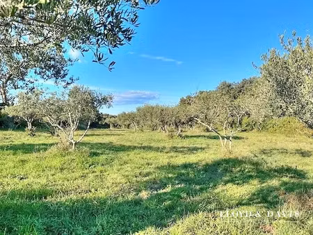vente terrain à batir 1764 m² à saint-siffret (30700)  315 000 €