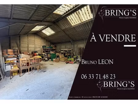 vente locaux professionnels 140 m² à villeneuve-en-perseigne (72600)  53 500 €
