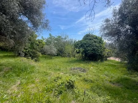 vente terrain à batir 2300 m² à contes (06390)  220 000 €
