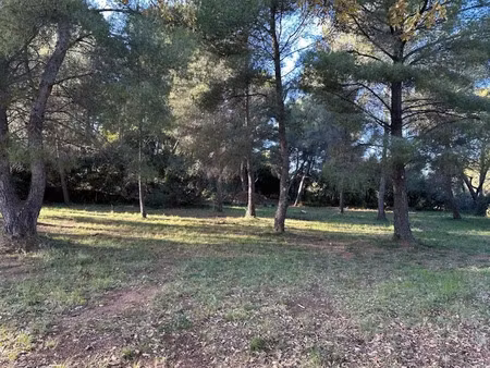 vente terrain à batir 500 m² à ollioules (83190)  265 000 €