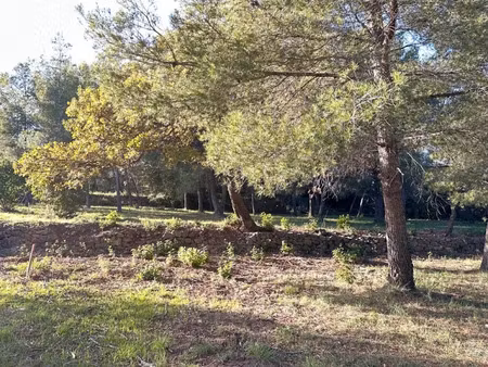 vente terrain à batir 657 m² à ollioules (83190)  285 000 €