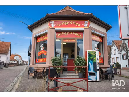 vente locaux professionnels 50 m² à mertzwiller (67580)  180 000 €