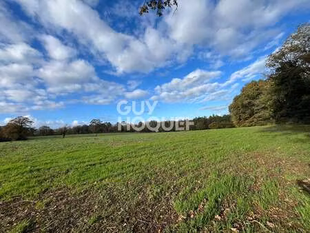 vente terrain à trédion (56250) : à vendre / 236840m² trédion