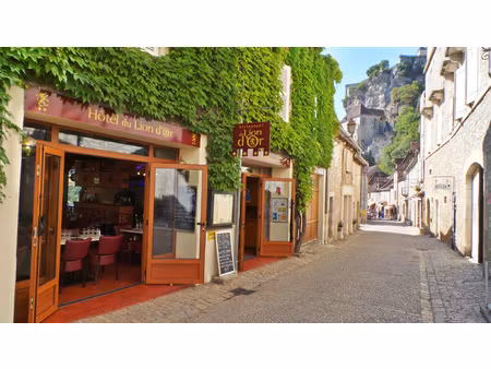 opportunité rare : murs + fond hôtel / restaurant en activi