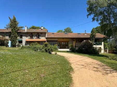 achat maison 20 pièces 401m² st priest la prugne 42830