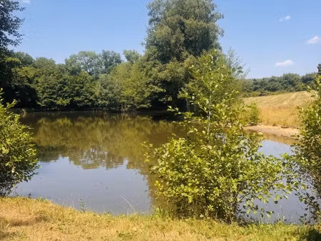 achat terrain 16 820m² la cellette 23350