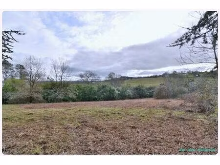 achat terrain 1 380m² monein 64360