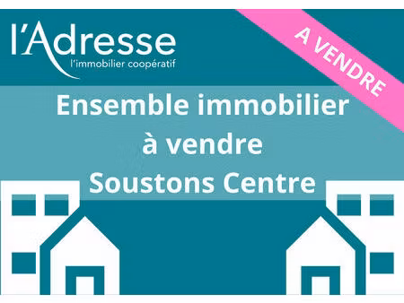vente immeuble 7 pièces  250.00m²  soustons