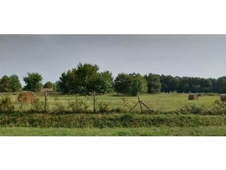 terrain à bâtir à laruscade (33620)