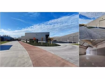 surface industrielle à vendre à pathoekeweg 11 bruges (rbu75468)