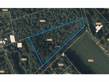 terrain agricole à vendre à lammerheide d137b gierle (rbu75288)