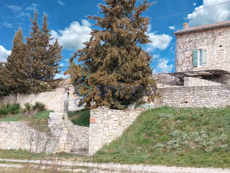 vente maison 7 pièces 110 m² à lussan (30580)  550 000 €