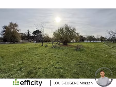 vente terrain 1003 m² à saint-maurice-la-clouère (86160)  33 000 €