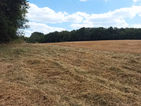 vente terrain 3340 m² à douchapt (24350)  25 000 €