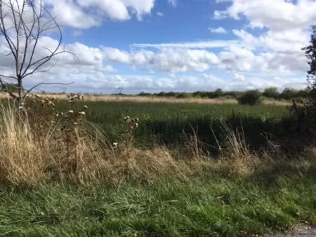 vente terrain 1250 m² à vasselay (18110)  29 000 €