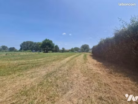 vente terrain 1300 m² à vasselay (18110)  29 000 €