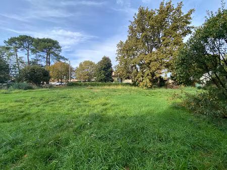 terrain gujan mestras 1018 m2