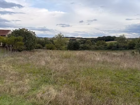 vente terrain 634 m² à roquesérière (31380)  119 000 €